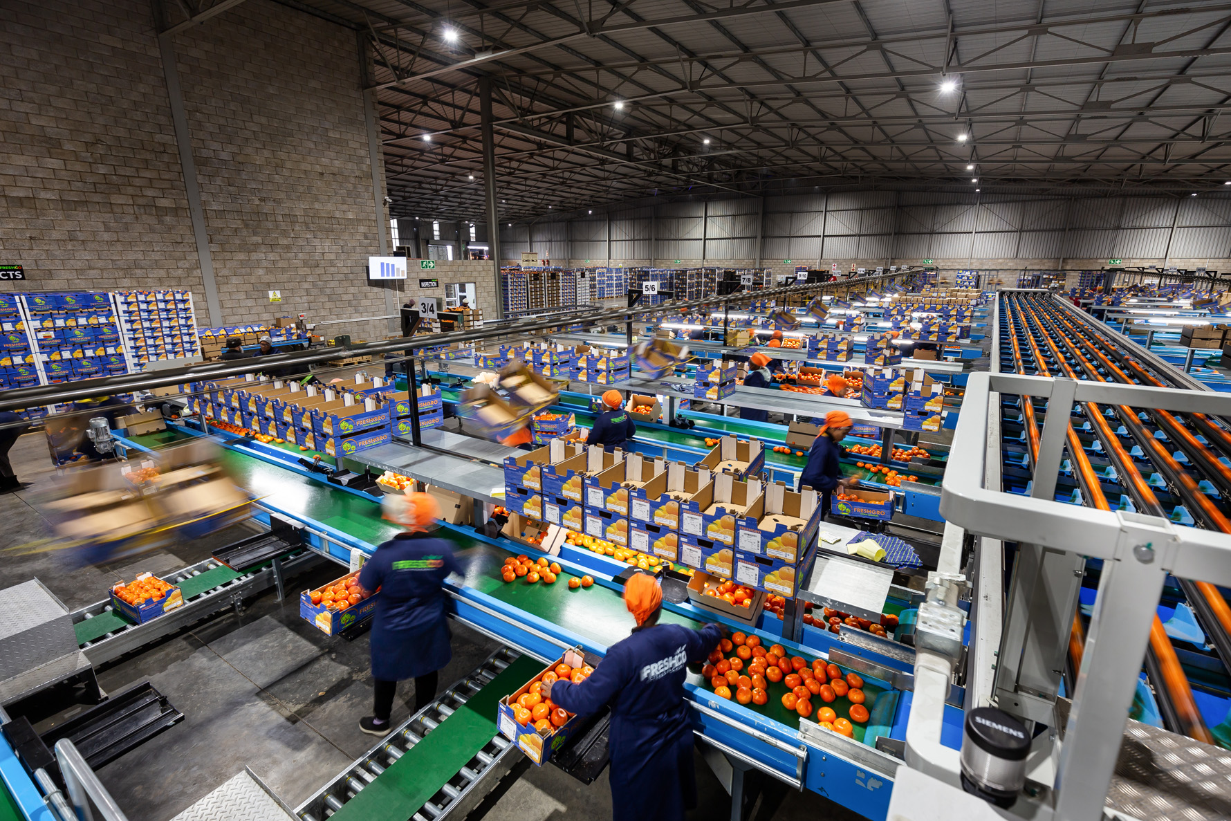 freshco-freshgro-citrus-photography-south-africa-industry-ray-truter-photography-05