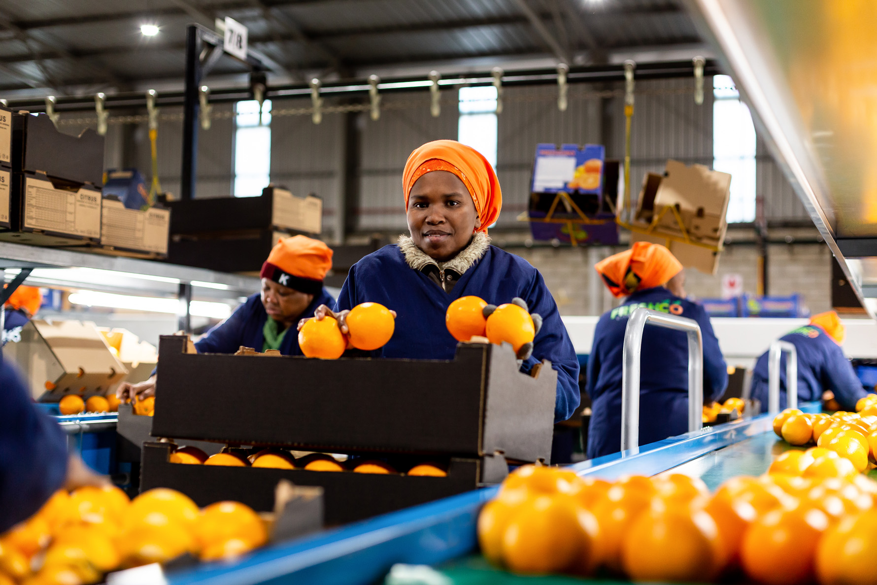 freshco-freshgro-citrus-photography-south-africa-industry-ray-truter-photography-addo-03