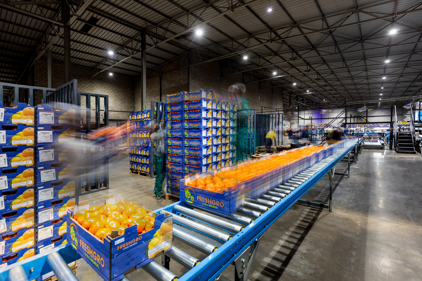freshco-freshgro-citrus-photography-south-africa-industry-ray-truter-photography-addo-04